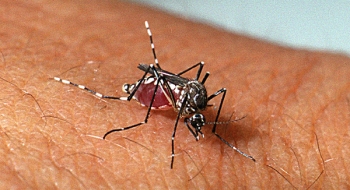 Goiás capacita para o cuidado de pacientes com dengue